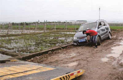 亭湖区抚顺道路救援